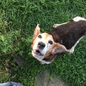 Meet your Posher, Jolene